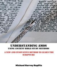 Produktbild: Understanding Amos