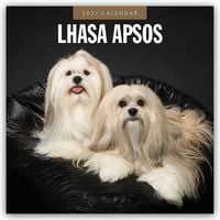 Produktbild: Lhasa Apsos &ndash; Lhasa Apso 2027 &ndash; 16-Monatskalender