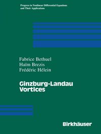 Produktbild: Ginzburg-Landau Vortices
