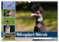 Produktbild: Weltvogelpark Walsrode - Die Vielfalt der Vogelarten (Wandkalender 2026 DIN A3 quer), CALVENDO Monatskalender