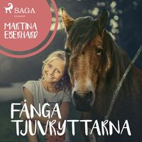 Produktbild: F&aring;nga tjuvryttarna