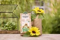 Produktbild: Saatgeschwister Minigarten "Sonnenblume"