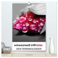 Produktbild: schwarz/wei&szlig; trifft farbe - DEIN TERMINKALENDER / Planer (hochwertiger Premium Wandkalender 2027 DIN A2 hoch), Kunstdruck in Hochglanz