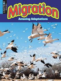 Produktbild: Migration