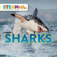 Produktbild: Sharks