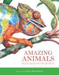 Produktbild: Scott, P: Amazing Animals