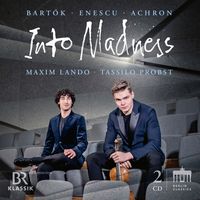 Bild vom Artikel Probst, T: Into Madness vom Autor Tassilo Probst