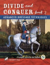Produktbild: Divide and Conquer Book 2