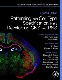 Produktbild: Patterning and Cell Type Specification in the Developing CNS and Pns