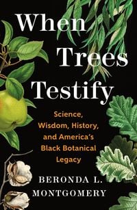 Produktbild: When Trees Testify