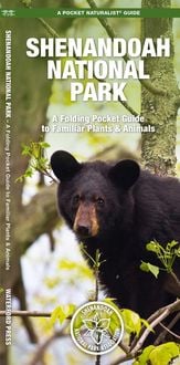 Produktbild: Shenandoah National Park
