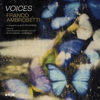 Produktbild: Voices (feat.John Scofield,Peter Erskine)
