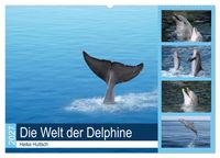 Produktbild: Die Welt der Delphine (Wandkalender 2027 DIN A2 quer), CALVENDO Monatskalender