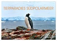 Produktbild: Tierparadies S&uuml;dpolarmeer (Wandkalender 2026 DIN A2 quer), CALVENDO Monatskalender