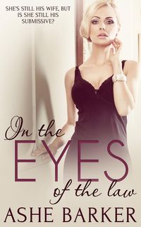 Produktbild: In the Eyes of the Law