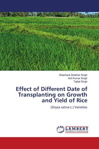 Produktbild: Effect of Different Date of Transplanting on Growth and Yield of Rice