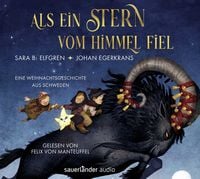 Produktbild: Als ein Stern vom Himmel fiel
