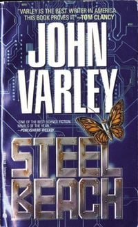 Produktbild: Steel Beach