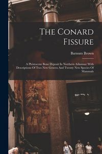 Produktbild: The Conard Fissure