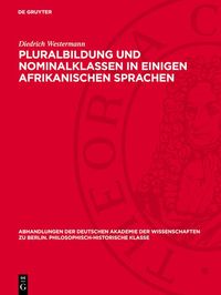 Produktbild: Pluralbildung und Nominalklassen in einigen afrikanischen Sprachen