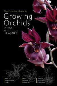 Produktbild: Essential Guide to Growing Orchids