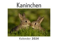 Produktbild: Kaninchen (Wandkalender 2024, Kalender DIN A4 quer, Monatskalender im Querformat mit Kalendarium, Das perfekte Geschenk)