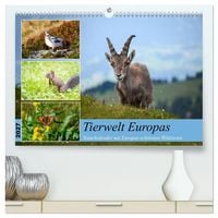 Produktbild: Tierwelt Europas - Naturkalender mit Europas sch&ouml;nsten Wildtieren (hochwertiger Premium Wandkalender 2027 DIN A2 quer), Kunstdruck in Hochglanz