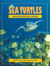 Produktbild: Sea Turtles: An Ecological Guide