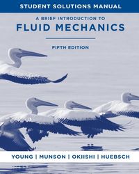 Produktbild: SSM t/a Brief Fluids, 5e
