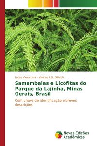 Produktbild: Samambaias e Lic&oacute;fitas do Parque da Lajinha, Minas Gerais, Brasil