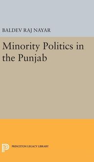 Produktbild: Minority Politics in the Punjab