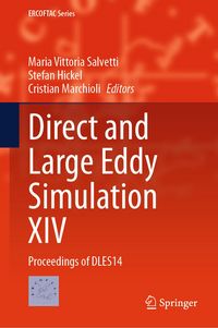 Produktbild: Direct and Large Eddy Simulation XIV