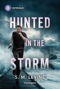 Produktbild: Hunted in the Storm