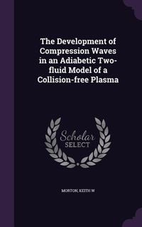 Produktbild: The Development of Compression Waves in an Adiabetic Two-fluid Model of a Collision-free Plasma