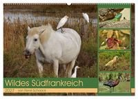 Produktbild: Wildes S&uuml;dfrankreich (Wandkalender 2027 DIN A2 quer), CALVENDO Monatskalender