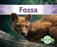 Produktbild: Fossa