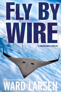 Produktbild: Larsen, W: Fly by Wire