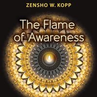 Produktbild: The Flame of Awareness