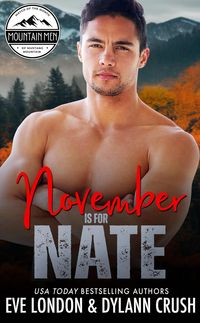 Produktbild: November is for Nate (Mountain Men of Mustang Mountain, #11)