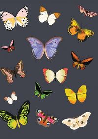 Produktbild: Metamorphosis Journal (Navy)