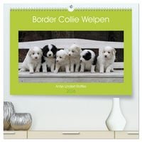 Produktbild: Border Collie Welpen (hochwertiger Premium Wandkalender 2026 DIN A2 quer), Kunstdruck in Hochglanz
