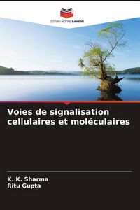 Produktbild: Voies de signalisation cellulaires et mol&eacute;culaires
