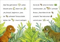 Bildermaus - Der kleine Dino sucht einen Freund