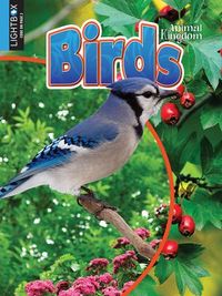 Produktbild: Birds