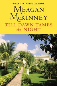 Produktbild: Till Dawn Tames the Night