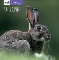 Produktbild: Le lapin