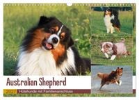 Produktbild: Australian Shepherd - H&uuml;tehunde mit Familienanschluss (Wandkalender 2027 DIN A3 quer), CALVENDO Monatskalender