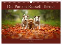 Produktbild: Die Parson-Russell-Terrier...mit neuen Abenteuern aus der Hundeknipserei (Wandkalender 2027 DIN A3 quer), CALVENDO Monatskalender