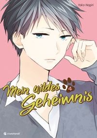 Produktbild: Mein wildes Geheimnis &ndash; Band 4 (Finale)