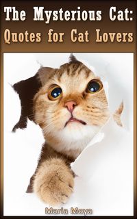Produktbild: The Mysterious Cat
